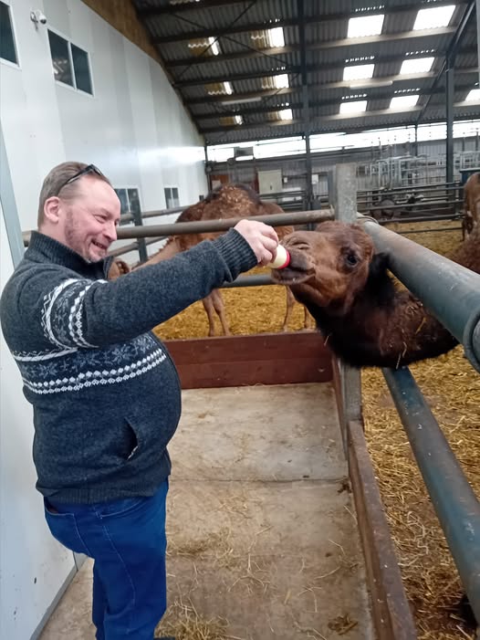 476819507_122196968006177160_211716477912417477_n
